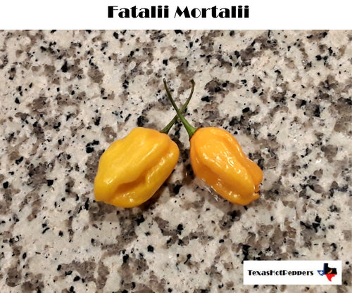 Fatalii Mortalii