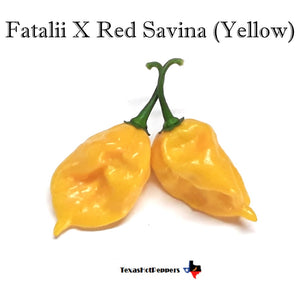Fatalii X Red Savina (Yellow)