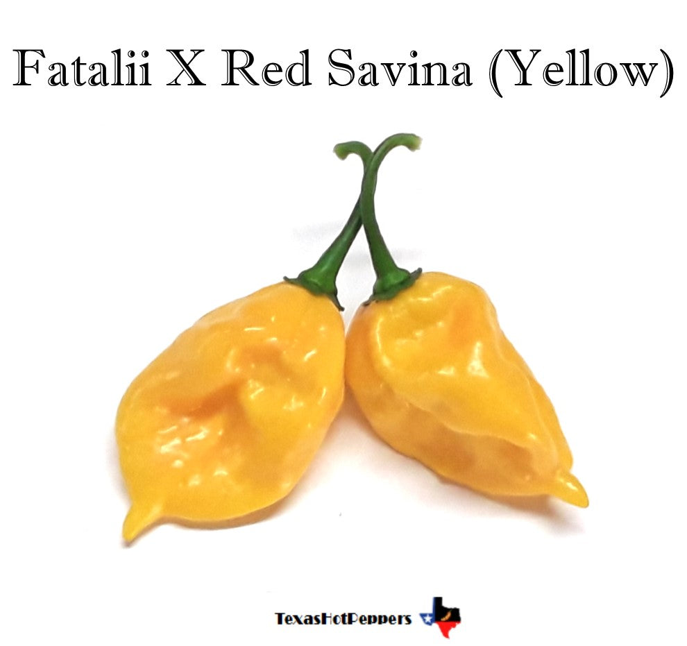 Fatalii X Red Savina (Yellow)