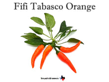 Load image into Gallery viewer, Fifi Tabasco Orange