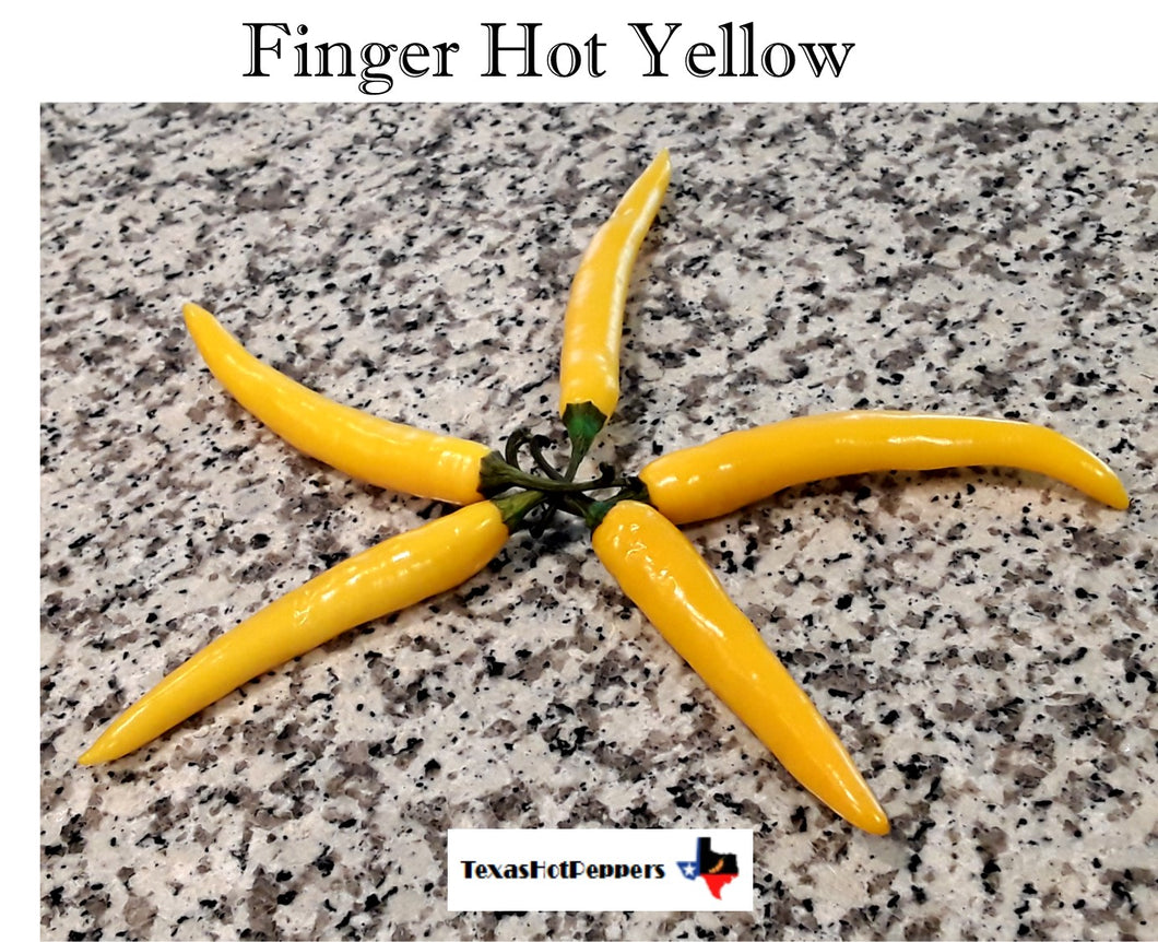 Finger Hot Yellow Seeds