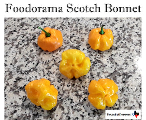 Foodorama Scotch Bonnet