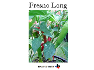 Fresno Long