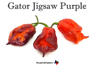 Gator Jigsaw Purple