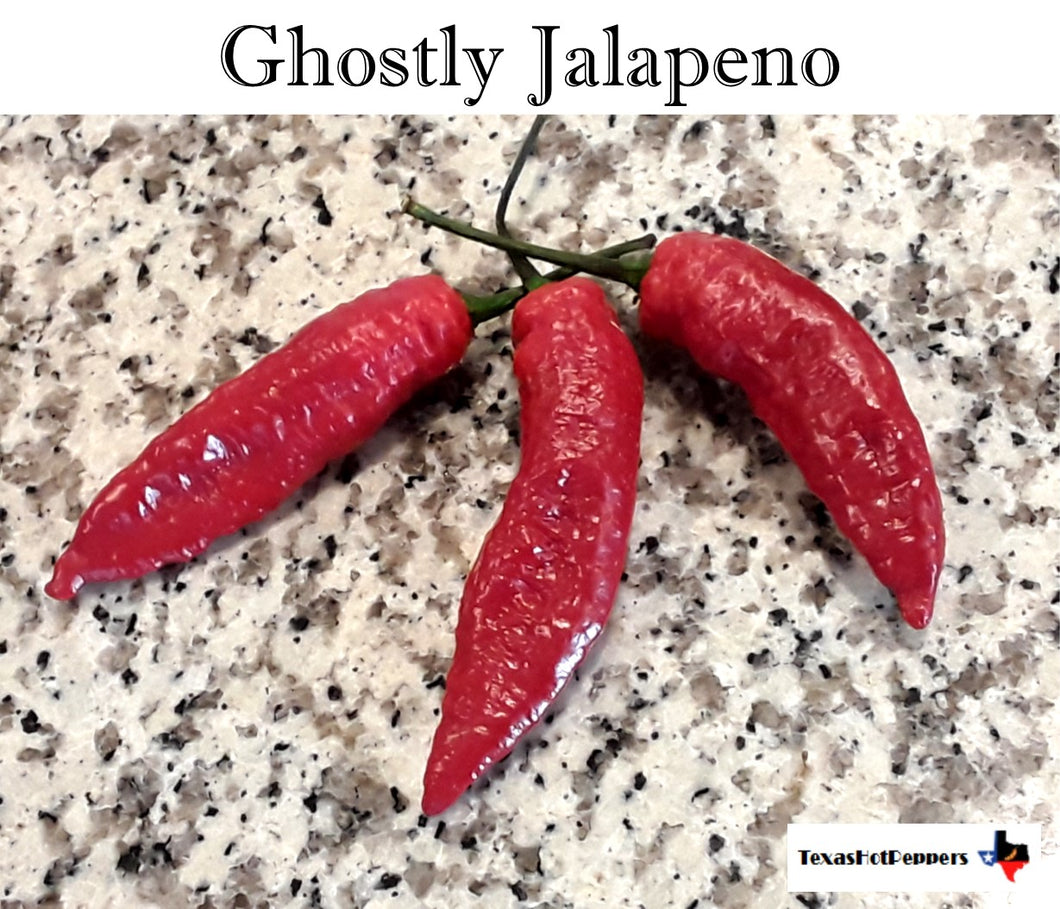 Ghostly Jalapeno