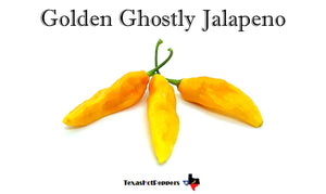 Golden Ghostly Jalapeno