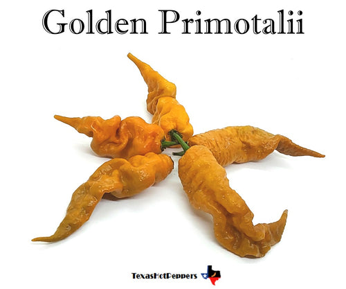 Golden Primotalii