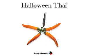Halloween Thai