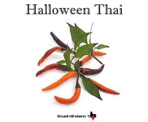 Halloween Thai