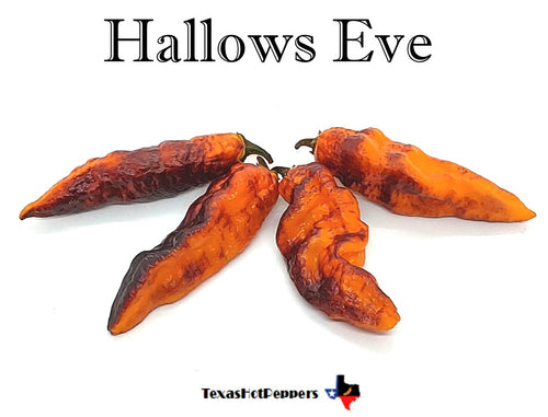 Hallows Eve