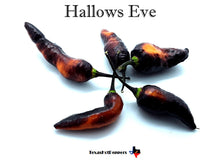 Load image into Gallery viewer, Hallows Eve