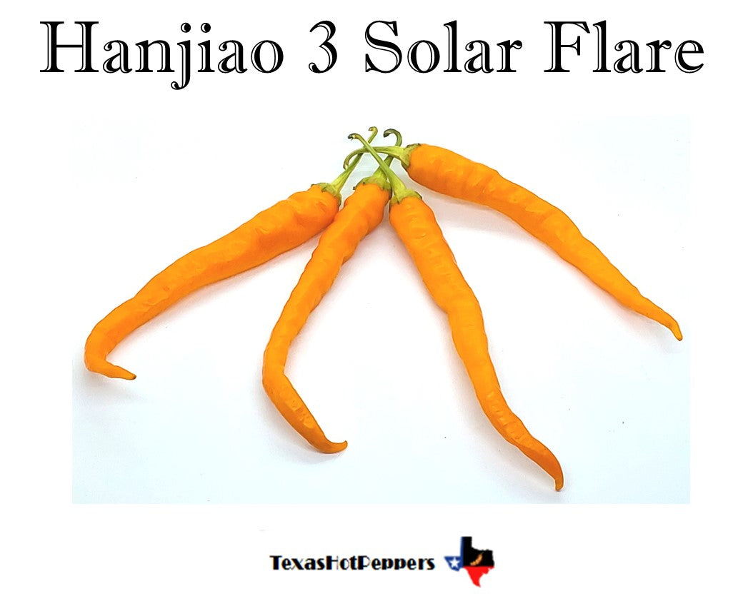 Hanjiao 3 Solar Flare