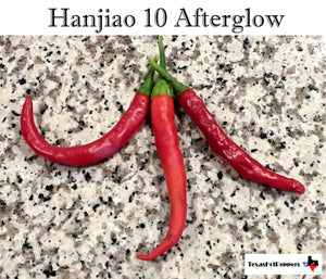 Hanjiao 10 Afterglow