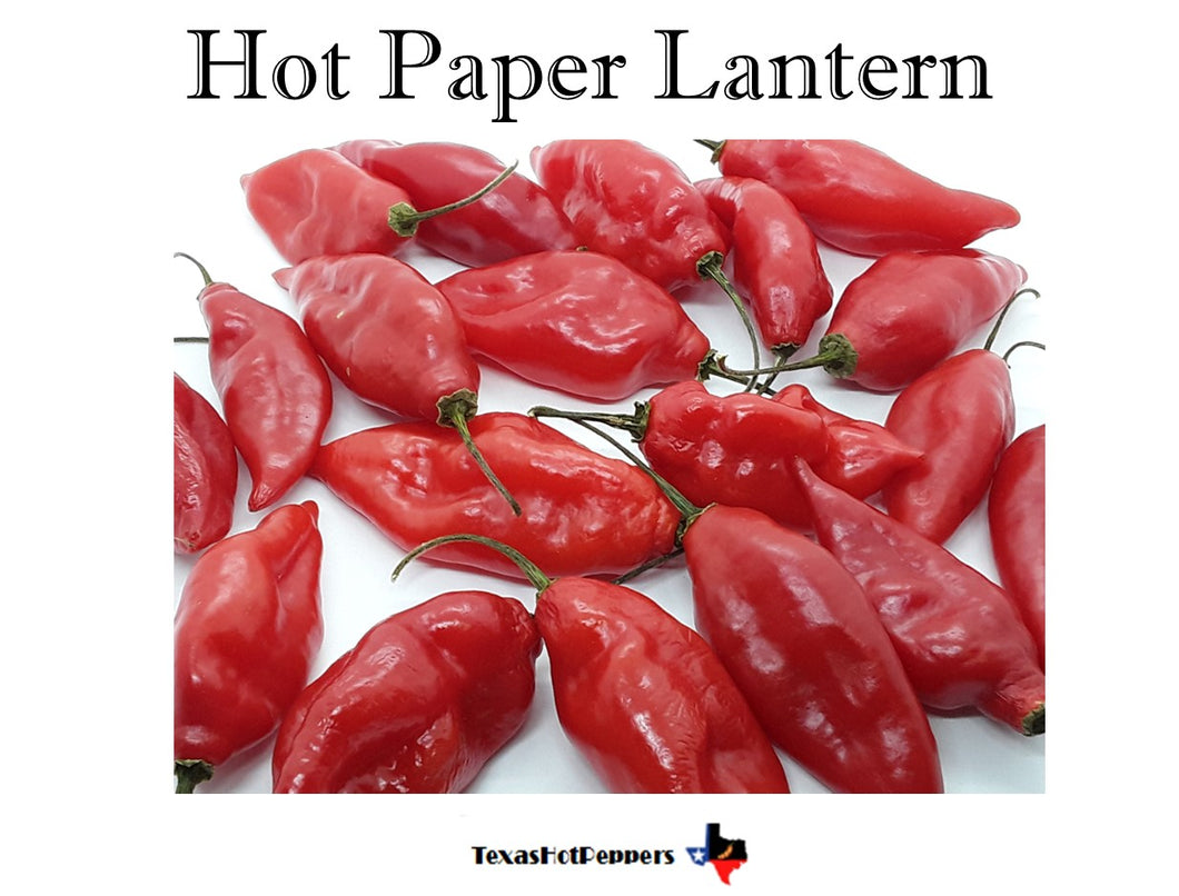 Hot Paper Lantern