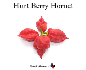 Hurt Berry Hornet