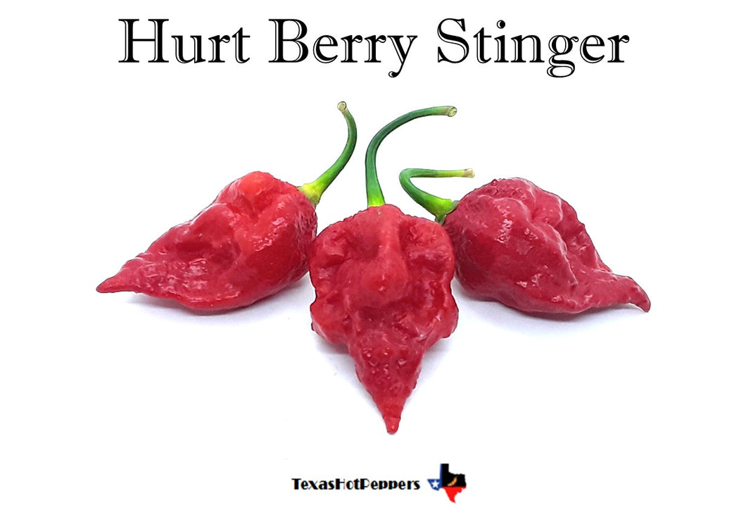 Hurt Berry Stinger