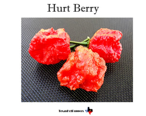 Hurt Berry