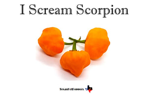 I Scream Scorpion
