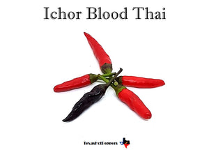 Ichor Blood Thai