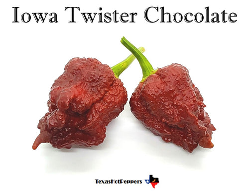 Iowa Twister Chocolate