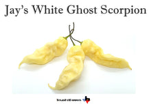 Load image into Gallery viewer, Jay&#39;s White Ghost Scorpion