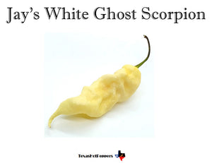 Jay's White Ghost Scorpion