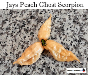 Jays Peach Ghost Scorpion