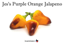 Load image into Gallery viewer, Jes&#39;s Purple Orange Jalapeno