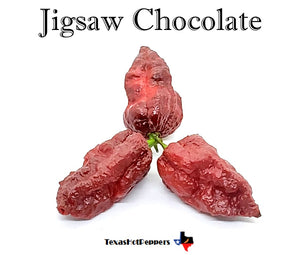 Jigsaw Chocolate