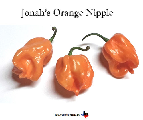Jonah Orange Nipple