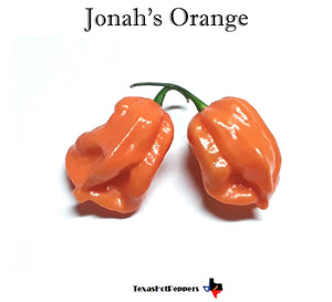 Jonahs Orange