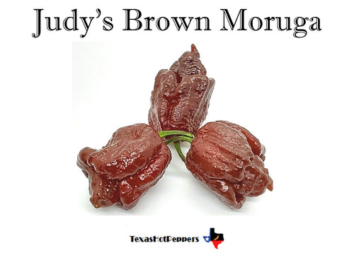 Judy's Brown Moruga