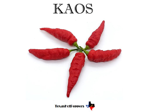 KAOS