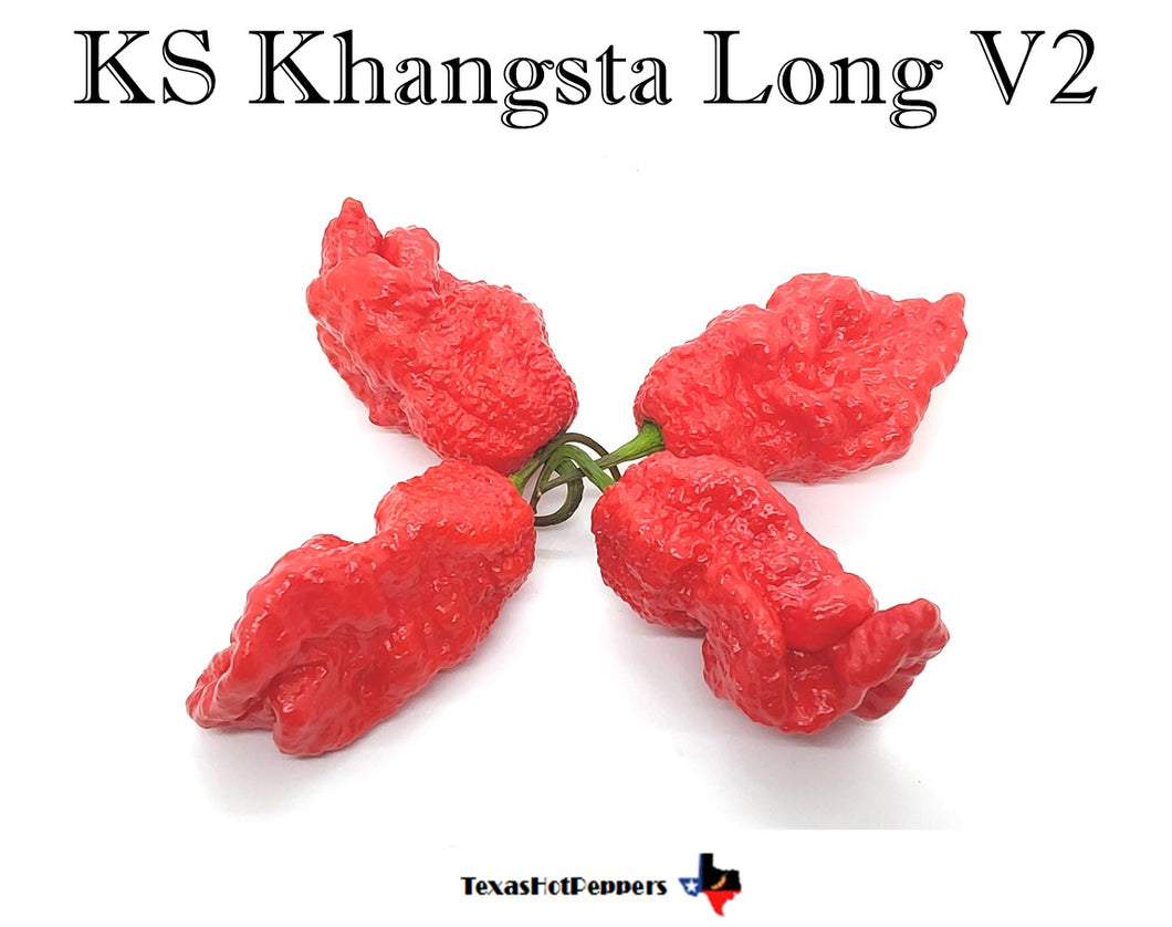 KS Khangsta Long (V2)