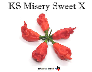 KS Misery Sweet X