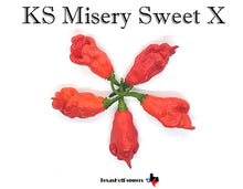 Load image into Gallery viewer, KS Misery Sweet X