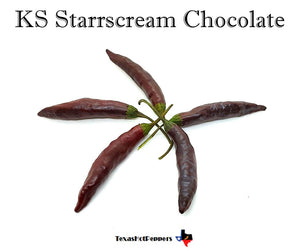 KS Starrscream Chocolate
