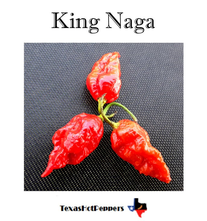 King Naga