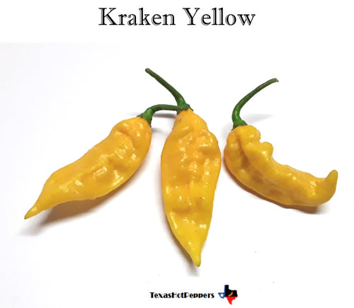 Kraken Yellow