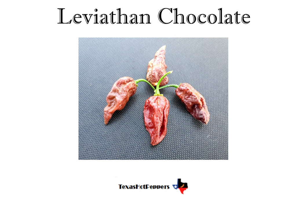 Leviathan Chocolate