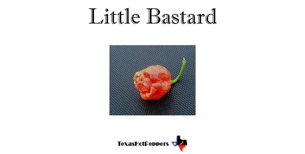 Little Bastard
