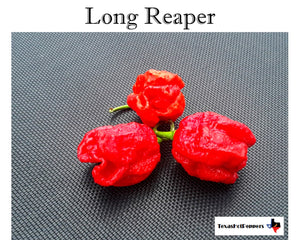 Reaper Seed Collection - 12 Diff Varieties