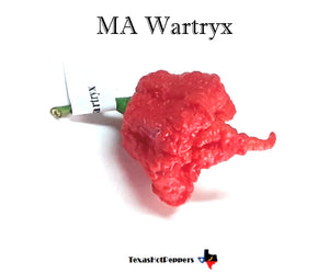 MA Wartryx