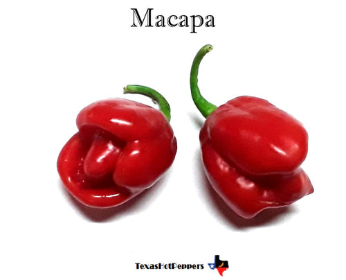 Macapa