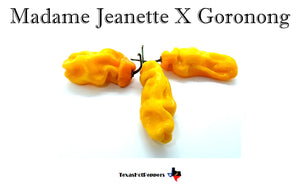 Madame Jeanette X Goronong