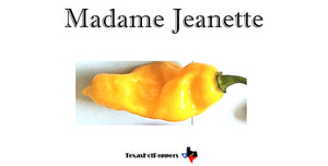 Madame Jeanette