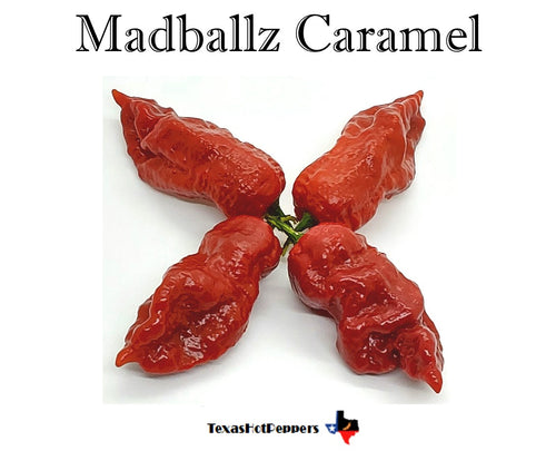 Madballz Caramel