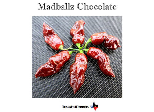 Madballz Chocolate
