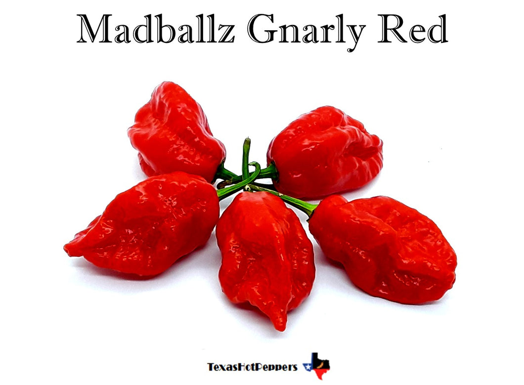 Madballz Gnarly Red