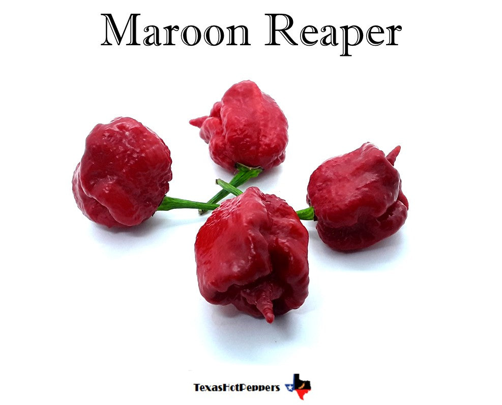 Maroon Reaper